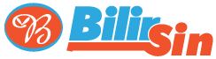 BİLİR SİNEKLİK